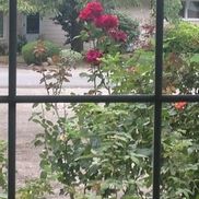 Phil Bertrand from Phil Bertrand Principal Realtor Keller Williams Realty/Certified Eco Broker