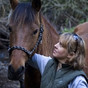 Alane Freund from Heart and Mind Equine