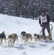 Vern Harvey from Best Western Airport Inn & Suites Cleveland