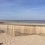 Cindy Glavin from Coupons4CapeCod