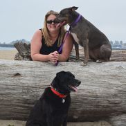 Trina Carr from Confident K9 Training