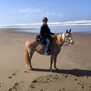 Lee Ann Thomas from Braided Bonds Horsehair Jewelry