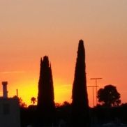 Mitch Seflin from Seflin Investigation