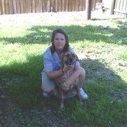 Tammy  McMahan CVT CPPS from Alone at Home Pet Services, Inc