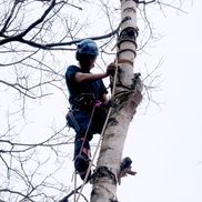 Arley Massey from Outram Tree Solutions