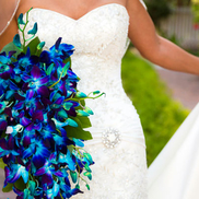 Kim Michael from Brides To Be  Shows, Inc