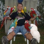 Brian Wilson from The Wilson Parrot Foundation