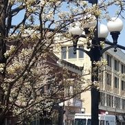 John Lynch from Oak Park Economic Development Corporation