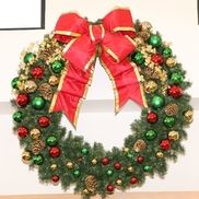 Al Garcia from Al & luis Christmas lighting / Ninny Janitorial Cleaning Service