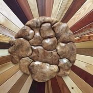 Nava Christian from Superior Hardwoods