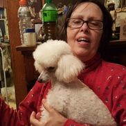 Carolyn Anderson from Anderson's Yorkies LLC