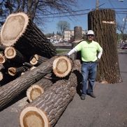 Lane Schmiesing from Monster Tree Service of