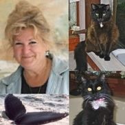 Animal Loss & Grief Support Institute, Teresa Wagner, Founder