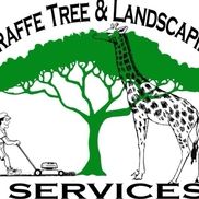 Caleb Gomez from Giraffe Tree & Landscaping Services