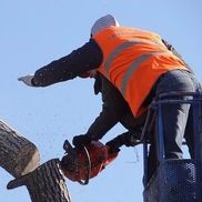John Saunders from Tree Service Springfield MA