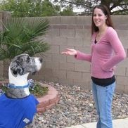 Allison Weeks from Peticularly Perfect - North San Diego Pet Care