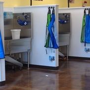 Chris Deen from BarknPaws Pet Wash , Market & Grooming