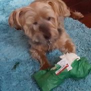 Larry Federer from Crystal Coast Realty And Home Services