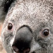 Paul Moore from Awake Maintenance