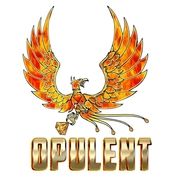 Derrick R Scott from OPULENT PROMOTIONAL ITEMS COMPANY