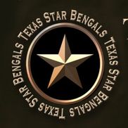 Stacy Hansen from TEXASSTAR BENGALS