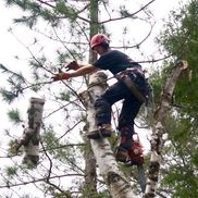 Kelly Outram from Outram Tree Solutions