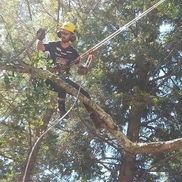 Jacob Outram from Outram Tree Solutions