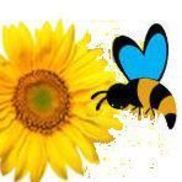 Cheri Hickman from Queen Bee Biz