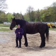 Pauline Meridien from Back In The Saddle Equine Therapy Center (Bitsetc)