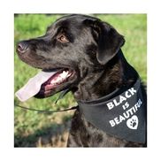 Donna A. Peters from Charlotte Black Dogs