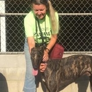 Patti Goettler from Greyt Hearts Service Dogs