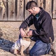 Adam Brady from Tend Bodyworks