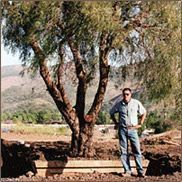 Daniel Gat from Oshan Trees Inc