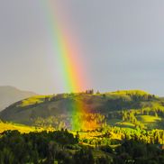 Dave Sorensen from Studhorse Mtn Xtracts