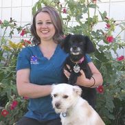 Brandie Jacobia from Community Animal Hospital PC