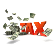MARY LOVEWELL from TAX & FINANCIAL IQ LLC